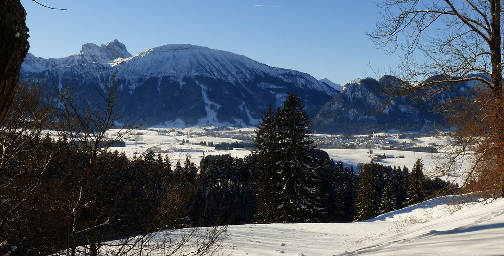 Burgruinen Frey und Eisenberg