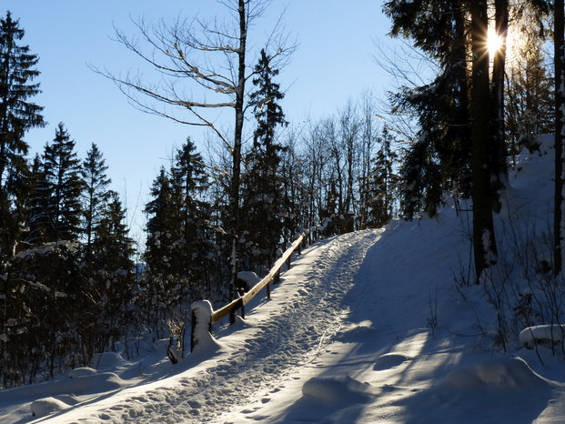 Burgruinen Frey und Eisenberg