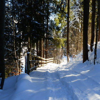 Burgruinen Frey und Eisenberg