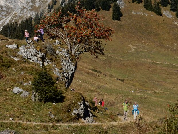 Panoramaweg am Hahnenkamm