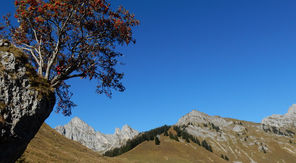 Panoramaweg am Hahnenkamm