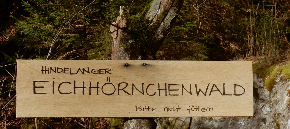 Eichhörnchenwald Hirschbachtobel