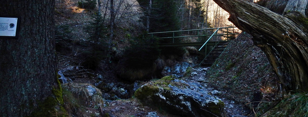 Brücke Hirschbachtobel