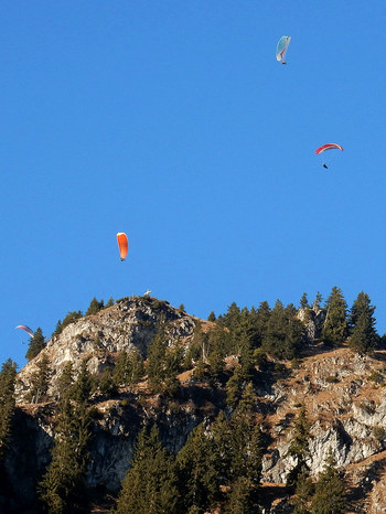 Gleitschirmflieger am Hirschberg