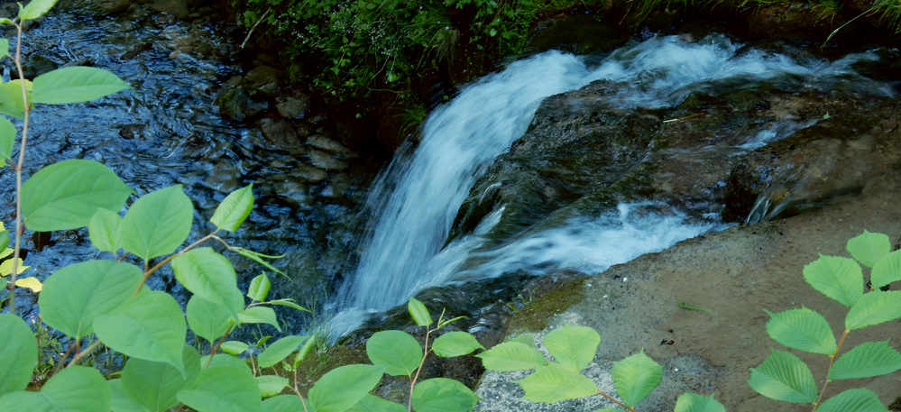 Kranzegger Tobel Wasserfall