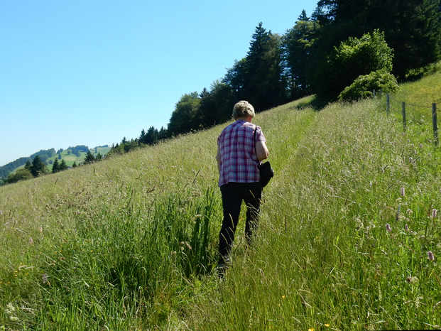 Kranzegger Tobel Rundwanderung