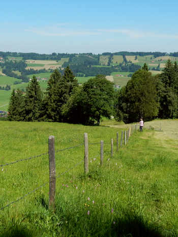 Kranzegger Tobel Rundwanderung