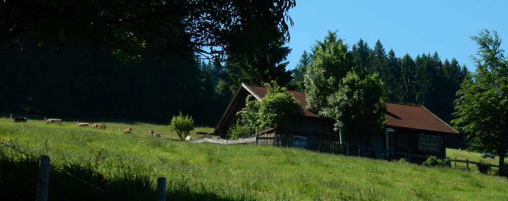 Kranzegger Tobel Rundwanderung