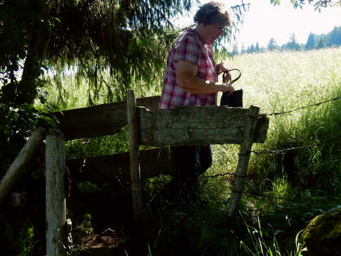 Kranzegger Tobel Rundwanderung