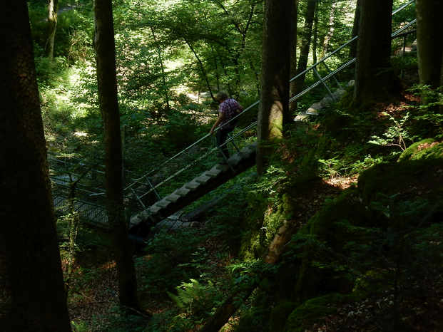 Kranzegger Tobel Rundwanderung