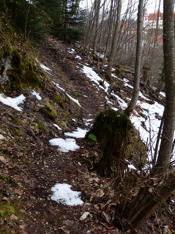 Lechrundweg zum Lechfall