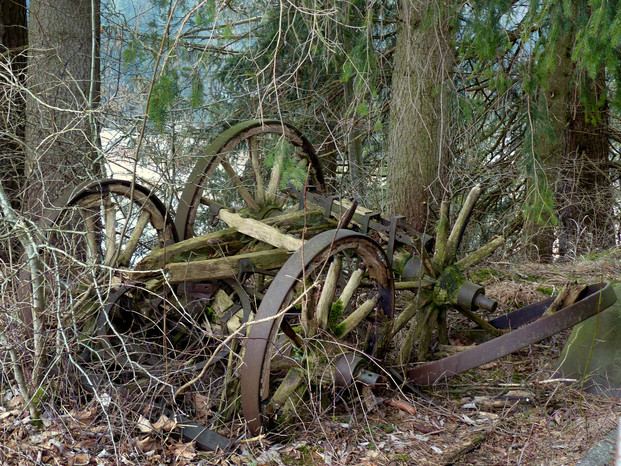 Naturschutzgebiet Litzauer Schleife