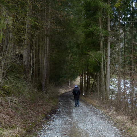 Naturschutzgebiet Litzauer Schleife