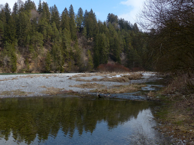 Naturschutzgebiet Litzauer Schleife