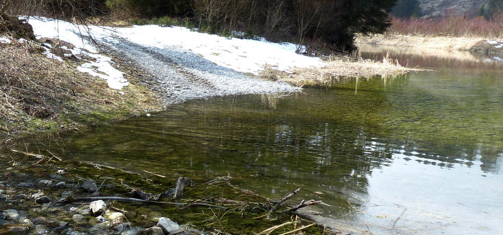 Naturschutzgebiet Litzauer Schleife