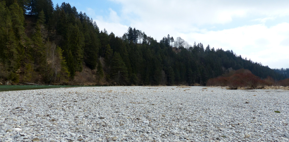 Naturschutzgebiet Litzauer Schleife