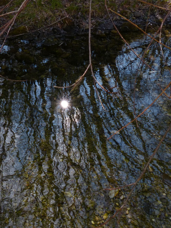 Naturschutzgebiet Litzauer Schleife