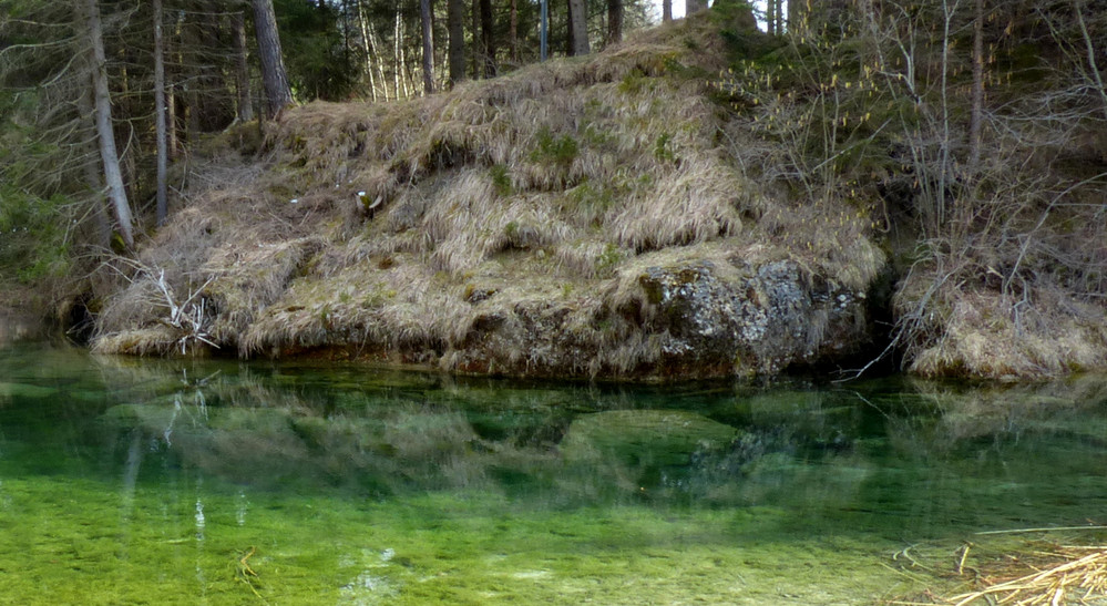 Naturschutzgebiet Litzauer Schleife