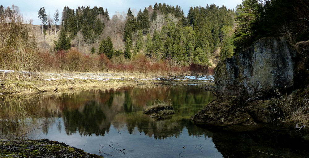 Naturschutzgebiet Litzauer Schleife