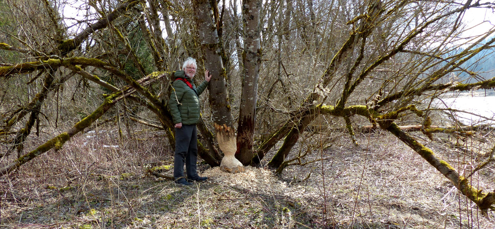 Naturschutzgebiet Litzauer Schleife