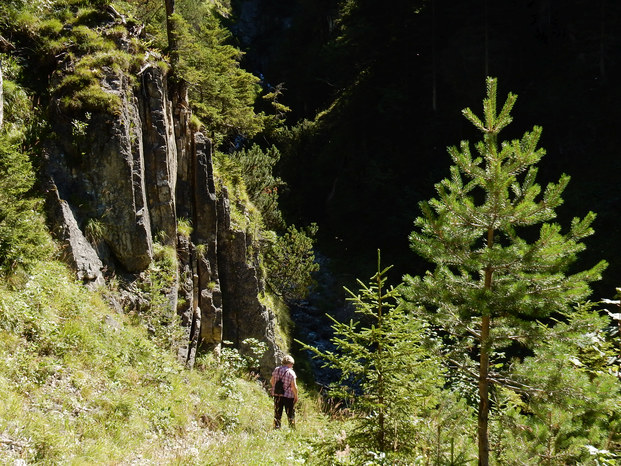 Felsen Gröbental Naturlehrpfad Mitteregg