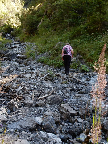 Naturlehrpfad Mitteregg