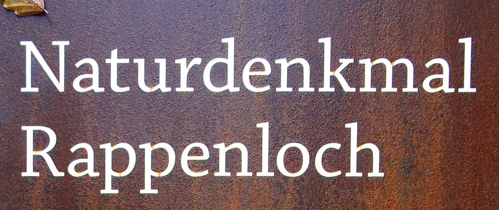 Rappenlochschlucht