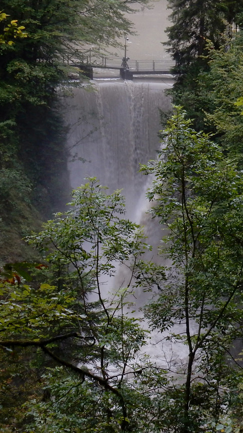 Rappenlochschlucht