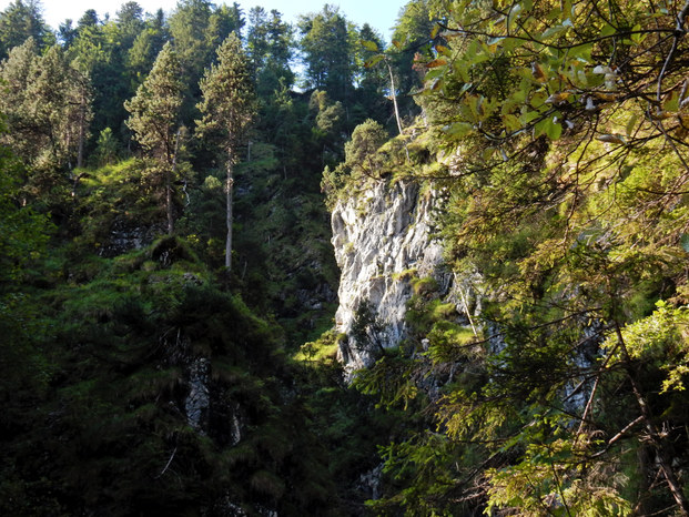 Sababach Wasserfall Brandstatt