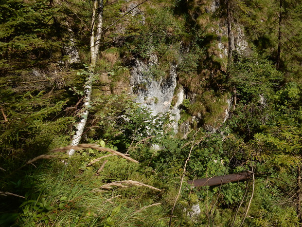 Sababach Wasserfall Brandstatt