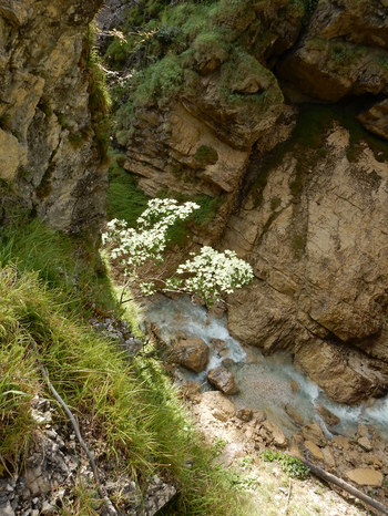 Sababach Wasserfall Brandstatt