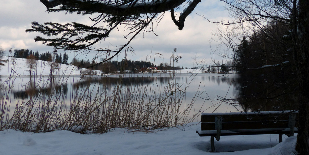 Schwaltenweiher Insel