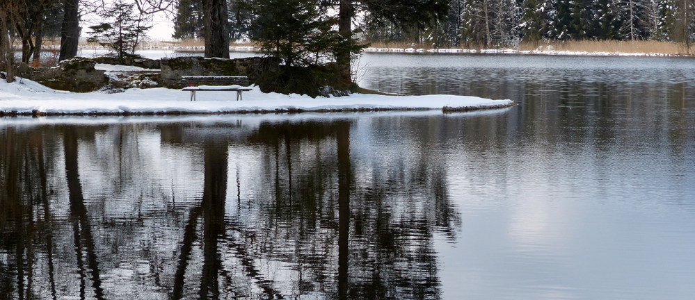 Schwaltenweiher Bänkle vor der Ruine