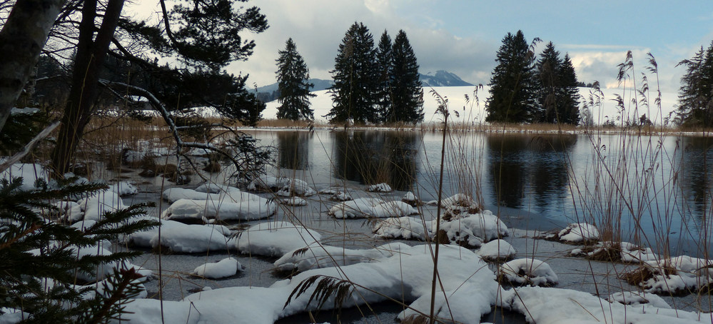 Schwaltenweiher