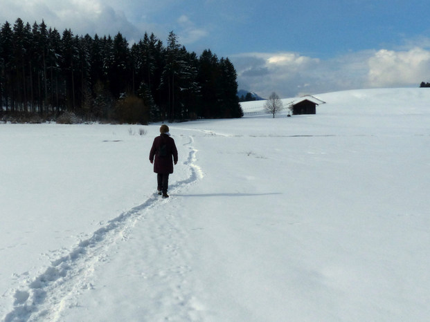 Schwaltenweiher