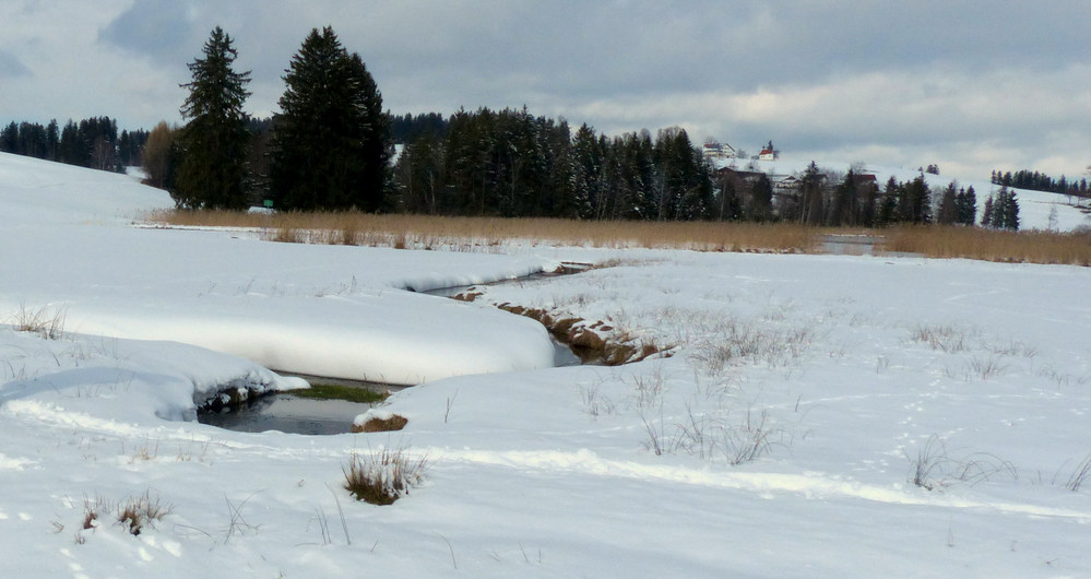 Schwaltenweiher