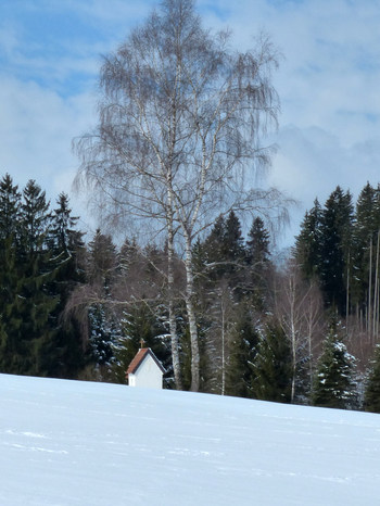 Schwaltenweiher