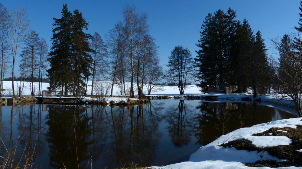 Neuweiher