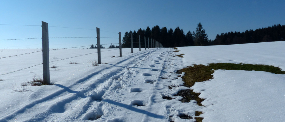 Neuweiher Rundwanderung