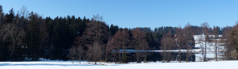 Neuweiher Rundwanderung