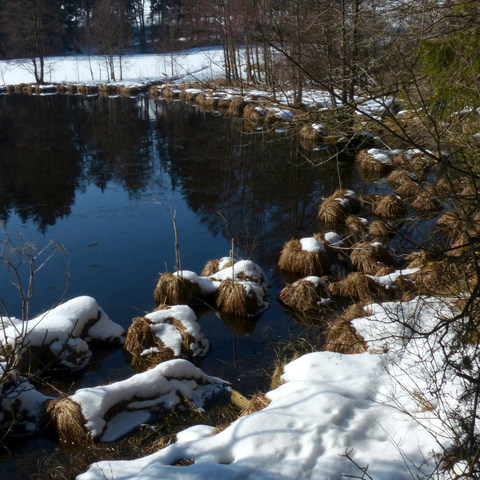 Neuweiher Rundwanderung