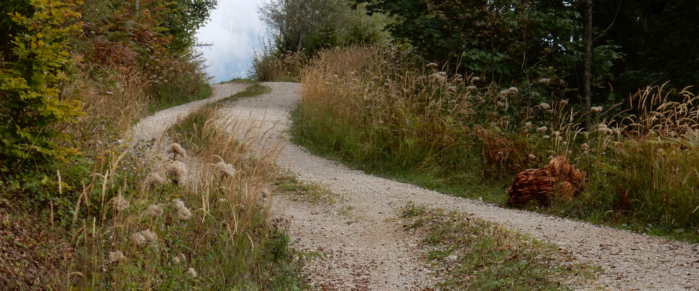 Forstweg Schwarzenberg