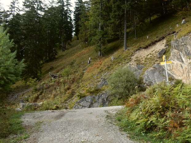 Schwarzenberg