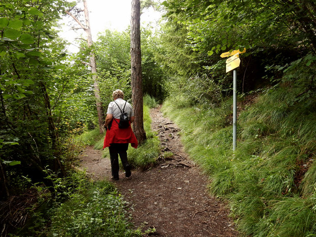 Hangebruecke Stams - Locherboden  Rundwanderung