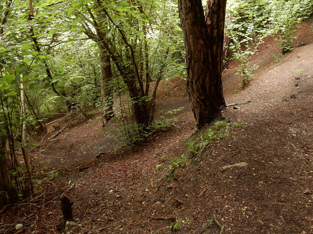 Hangebruecke Stams - Locherboden  Rundwanderung