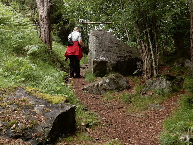 Hangebruecke Stams - Locherboden  Rundwanderung