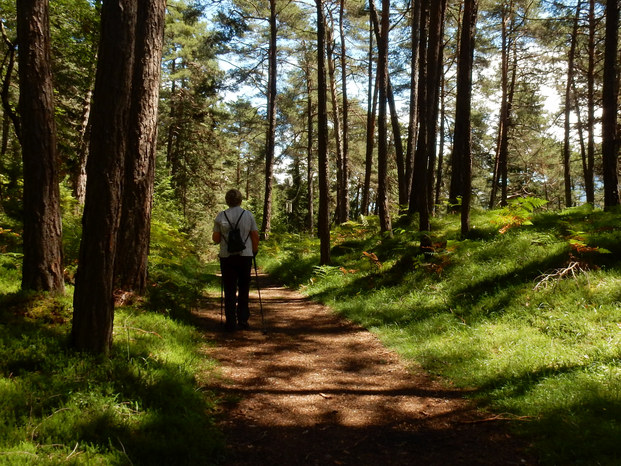 Hangebruecke Stams - Locherboden  Rundwanderung