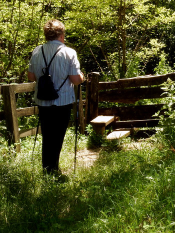 Hangebruecke Stams - Locherboden  Rundwanderung