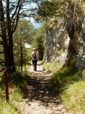 Hangebruecke Stams - Locherboden  Rundwanderung