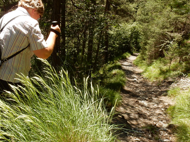 Hangebruecke Stams - Locherboden  Rundwanderung